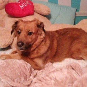 Meet your Posher, Caitlin